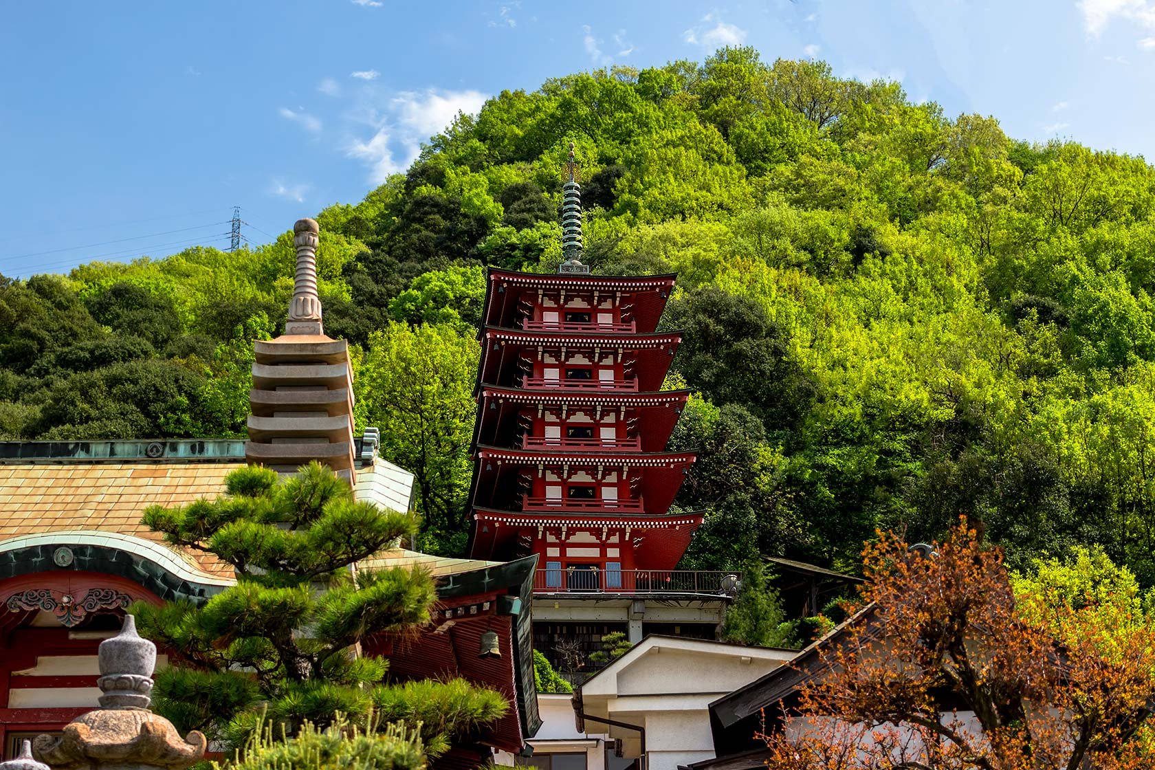 🏯 만원사 (만간지) 이미지 6